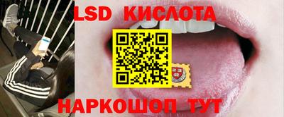 индика Донской