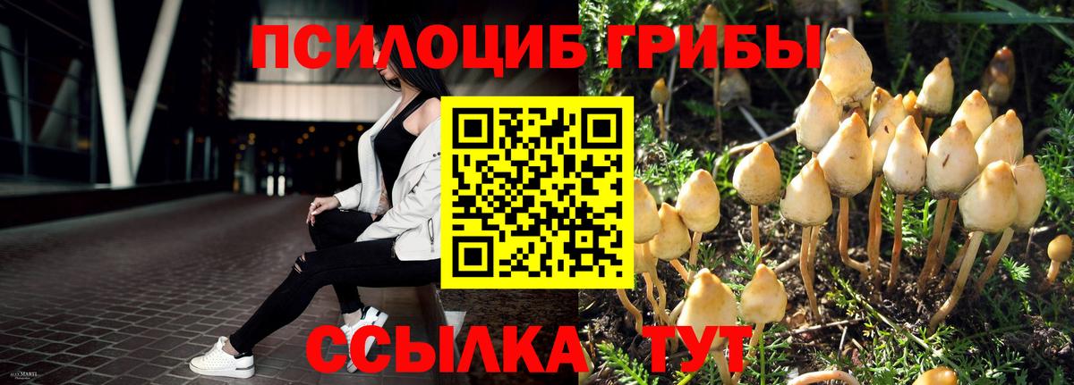 Псилоцибиновые грибы мухоморы Михайловск